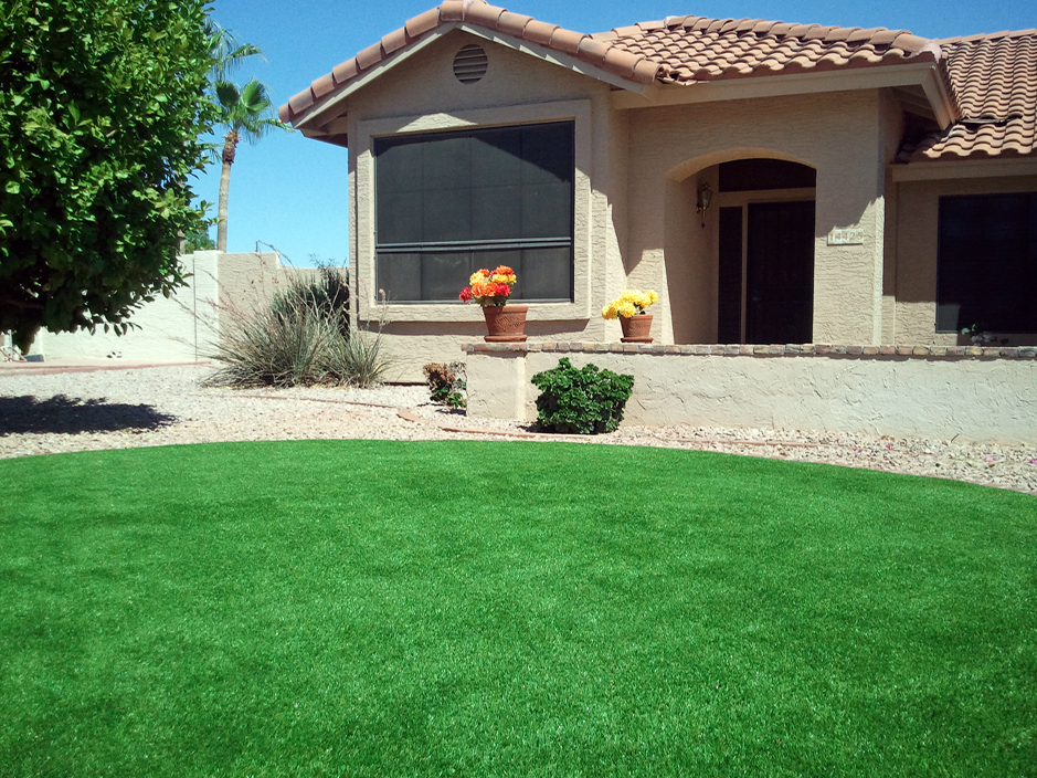Artificial Grass JanPhyl Village Florida Lawn Front Yard