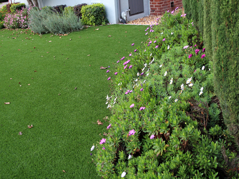 Artificial Grass Lakeland Highlands Florida Lawn Front Yard