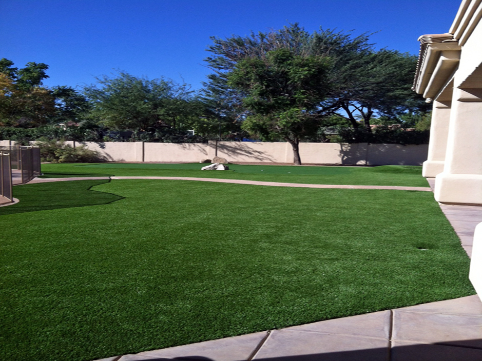 Artificial Turf Meadow Woods Florida Landscape Back Yard