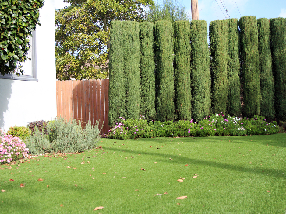 Synthetic Grass Holly Hill Florida Landscape Front Yard