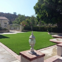 Artificial Grass Buenaventura Lakes Florida Lawn Front Yard