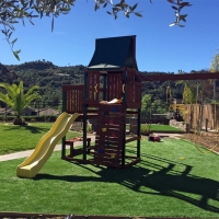 Artificial Grass Crystal Springs Florida Kids Care