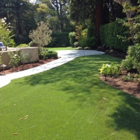Artificial Grass Lake Hart Florida Landscape Front Yard