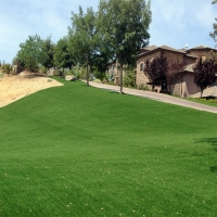 Artificial Grass South Apopka Florida Lawn Front Yard