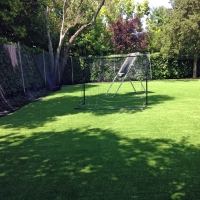 Artificial Grass Sports DeBary Florida Back Yard