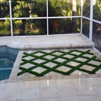 Artificial Grass Winter Garden Florida Lawn Back Yard