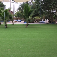 Artificial Lawn Wesley Chapel, Florida City Landscape, Commercial Landscape