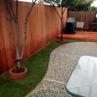 Artificial Pet Grass Saint Leo Florida Installation Back