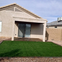 Artificial Pet Turf Crystal Springs Florida Installation