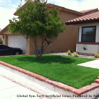 Artificial Turf Edgewood Florida Landscape