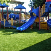 Artificial Turf Holly Hill Florida Kindergarten Swimming