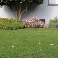 Artificial Turf Homeland Florida Landscape