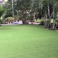 Artificial Turf Thonotosassa, Florida Gardeners, Commercial Landscape