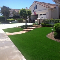 Artificial Turf Tildenville Florida Lawn Front Yard