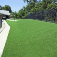 Artificial Turf Winter Garden Florida Landscape Front Yard