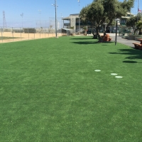 Best Artificial Grass Land O Lakes, Florida City Landscape, Recreational Areas