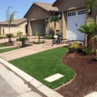 Fake Grass Apopka Florida Lawn Back Yard