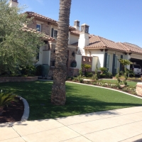 Fake Grass Bay Lake Florida Lawn Back Yard