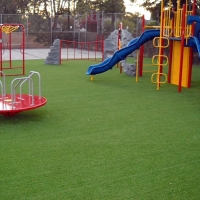 Fake Grass Inwood Florida Kindergarten Pools Back Yard