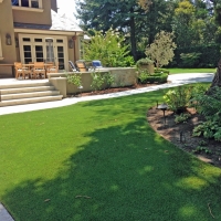 Fake Grass Tildenville Florida Landscape