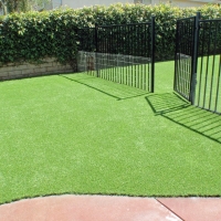 Fake Pet Grass Belleview Florida for Dogs