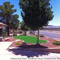 Fake Turf Holden Heights Florida Lawn