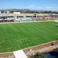 Fake Turf School Stadium Ferndale Florida Commercial Landscape