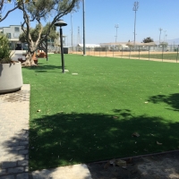 Plastic Grass Bloomingdale, Florida Lawn And Garden, Parks