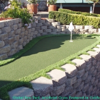 Putting Greens Fairview Shores Florida Synthetic Turf