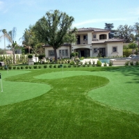 Putting Greens South Daytona Florida Synthetic Turf Front