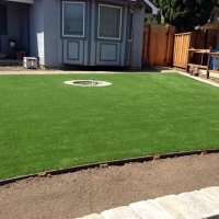 Synthetic Grass Bay Lake Florida Lawn Back Yard