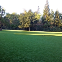 Synthetic Grass Hunters Creek Florida Lawn