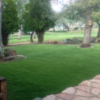 Synthetic Grass Oakland Florida Lawn Back Yard