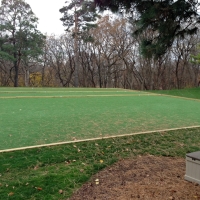 Synthetic Grass Stadium Lake Panasoffkee Florida Parks