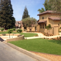 Synthetic Grass Winter Garden Florida Lawn Swimming Pools