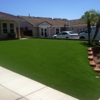 Synthetic Turf Lake Buena Vista Florida Landscape Back