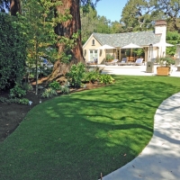 Synthetic Turf Lake Hart Florida Landscape Front Yard