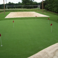 Synthetic Turf Stadium Meadow Woods Florida Parks