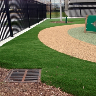 Artificial Grass Eagle Lake Florida Kids Care