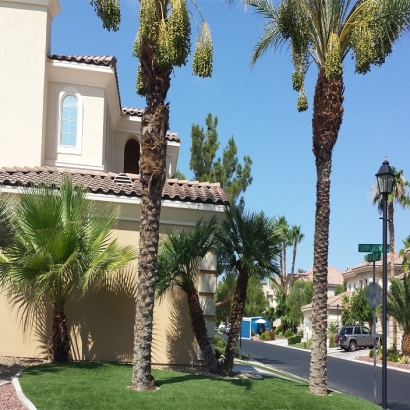 Artificial Grass Four Corners Florida Landscape Front Yard