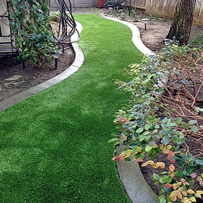 Artificial Grass Istachatta Florida Landscape Back Yard