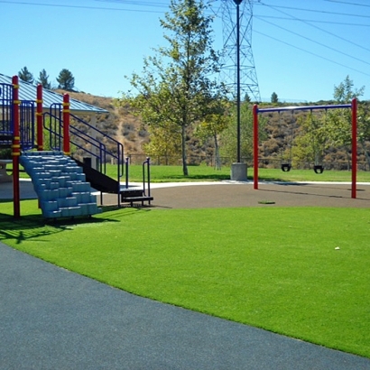 Artificial Grass Lacoochee Florida Childcare Facilities Fountans