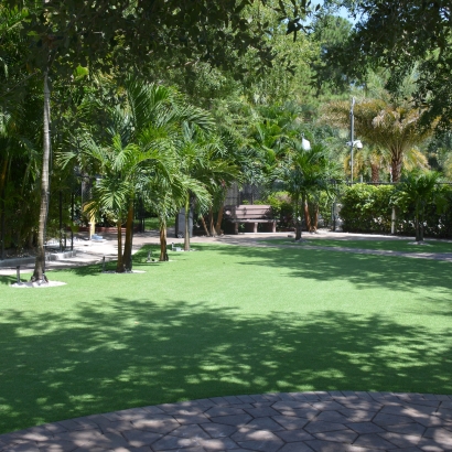 Artificial Grass Lake Lindsey, Florida Lawns, Commercial Landscape