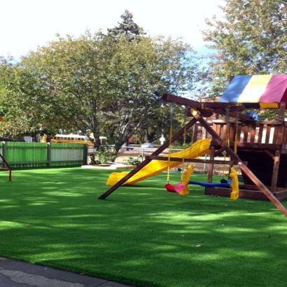 Artificial Grass Oak Ridge Florida Playgrounds