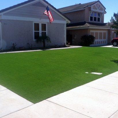 Artificial Grass Oviedo Florida Lawn Recreational Areas