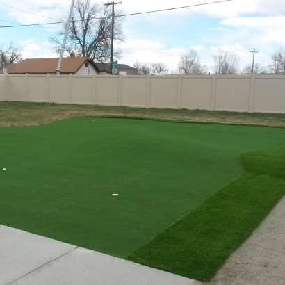 Artificial Grass Palm Bay, Florida Indoor Putting Green, Backyard Design