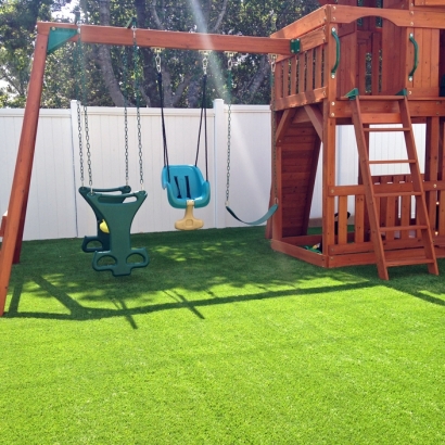 Artificial Grass Pine Lakes Florida Playgrounds Parks