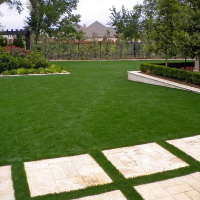 Artificial Grass Sky Lake Florida Landscape Back Yard