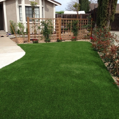 Artificial Grass Willow Oak Florida Lawn