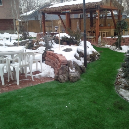 Artificial Grass Winter Park Florida Lawn Commercial Landscape